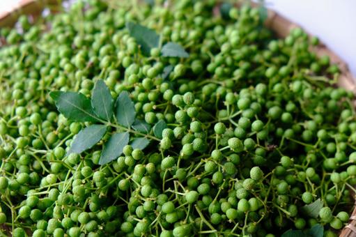 青山椒（未熟果）とは